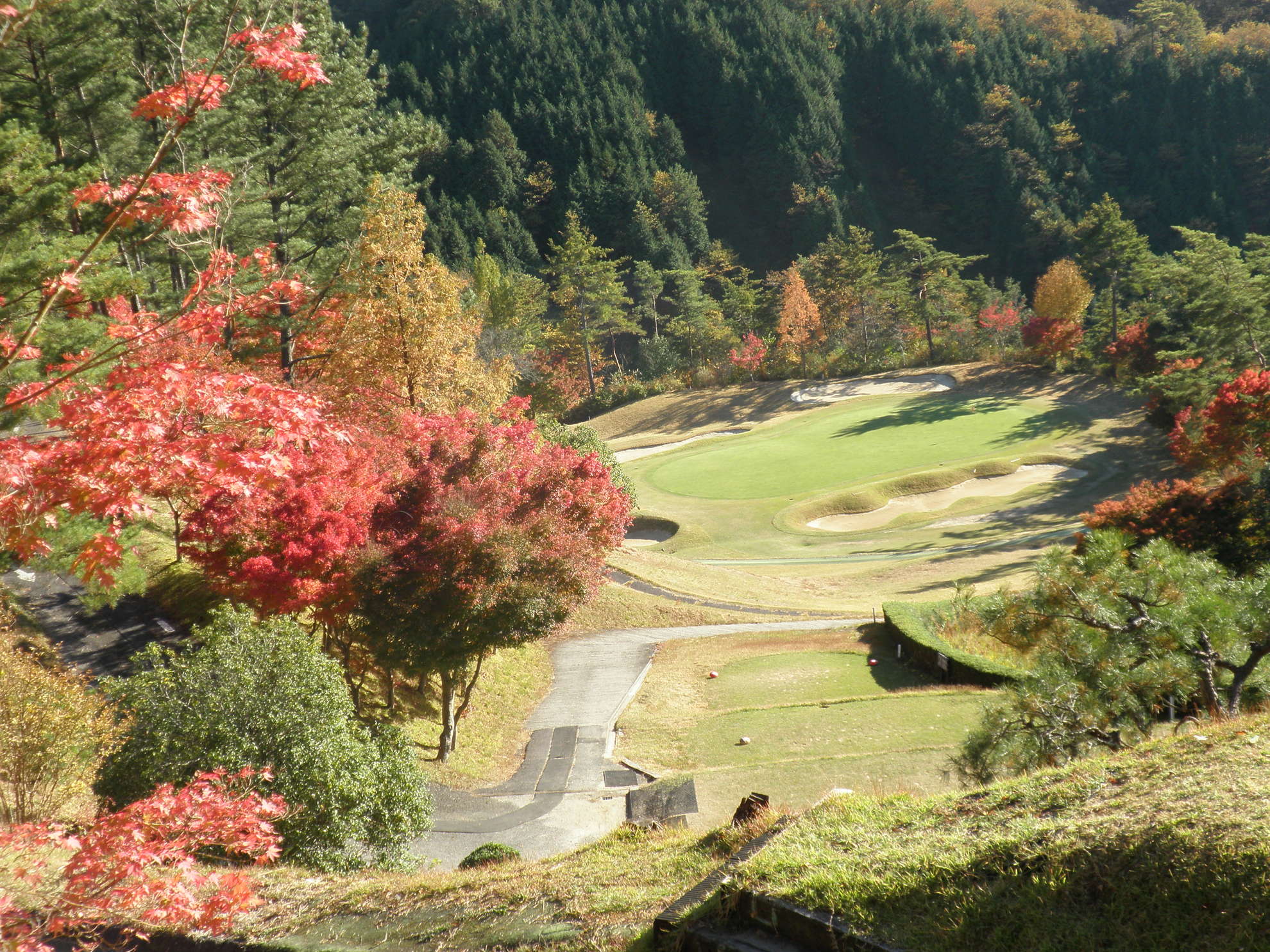 ゴルフ倶楽部大樹 旭コースの公式サイトの画像（3/12）
